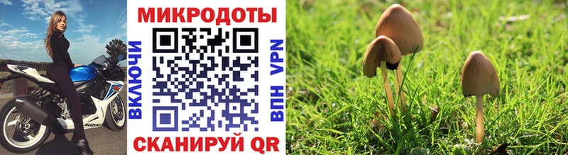 Галлюциногенные грибы ЛСД Новая Ляля